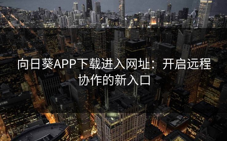 向日葵APP下载进入网址:开启远程协作的新入口