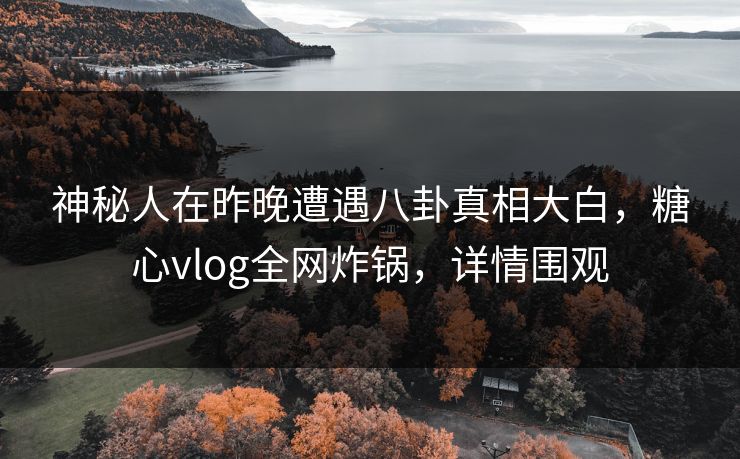 神秘人在昨晚遭遇八卦真相大白，糖心vlog全网炸锅，详情围观