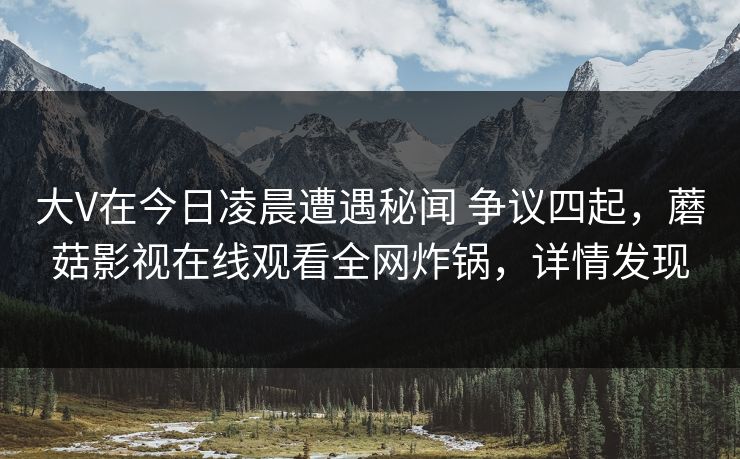 大V在今日凌晨遭遇秘闻 争议四起，蘑菇影视在线观看全网炸锅，详情发现